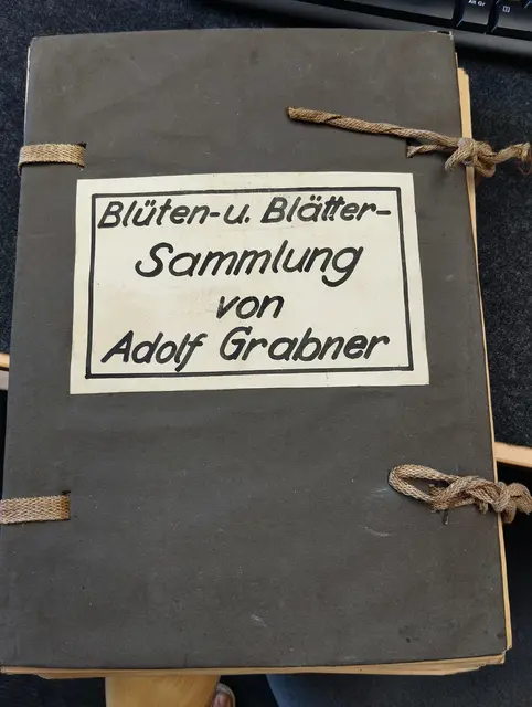 Blüten und Blättersammlung, teilweise erhalten und angelegt von Adolf Grabner 