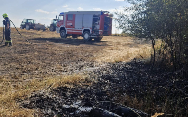 Ein Vegetationsbrand hatte sich auf einer Fläche von rund 1.000 Quadratmetern ausgebreitet und drohte auf ein angrenzendes Waldgebiet überzugreifen. | Foto: Feuerwehr Geras