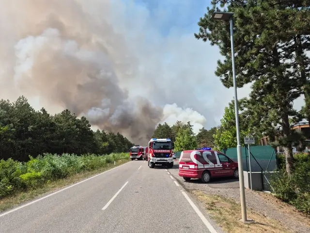 Foto: einsatzdoku.at