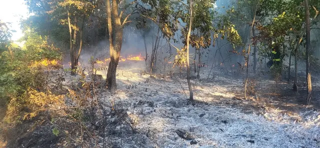 Foto: Feuerwehr St. Margarethen