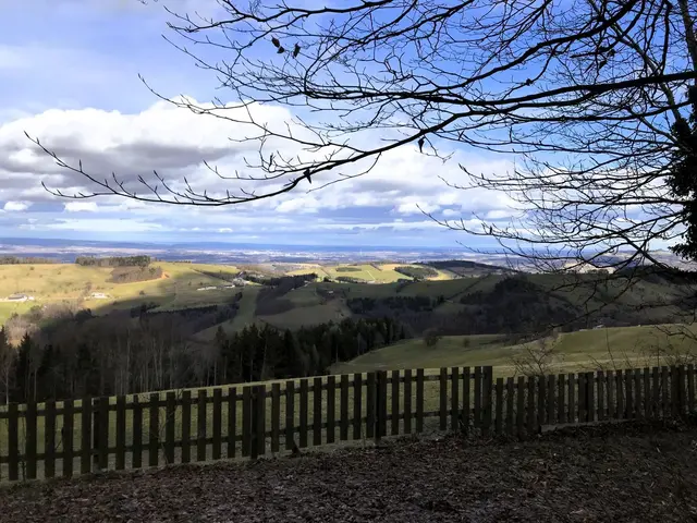 Aussicht | Foto: Naturfreunde Traisen