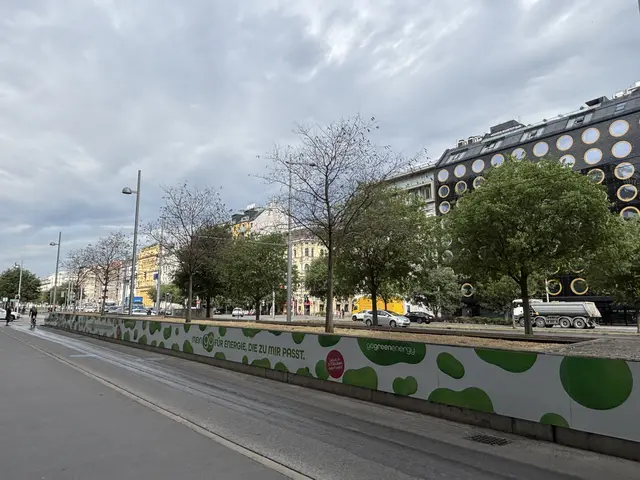 Foto: Nathanael Peterlini/MeinBezirk