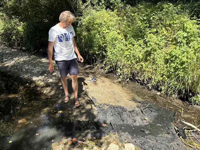 Das Wasser fließt, hoffentlich finden die Fische in die tiefere Wasserstelle. | Foto: Lauren Fahrenberger / MeinBezirk