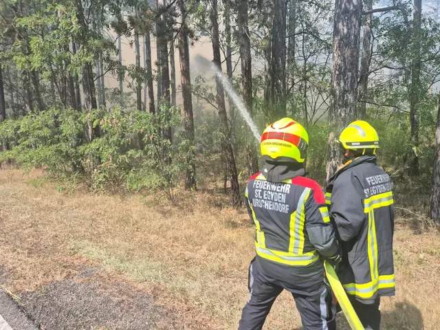 Foto: einsatzdoku.at