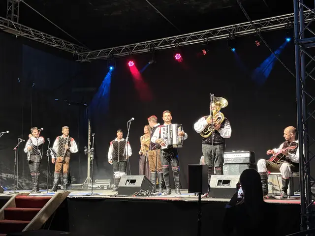 Unter dem lauen Sommerhimmel entwickelte sich das Konzert zu einem stimmungsvollen musikalischen Erlebnis.  | Foto: MeinBezirk/W. Fischer