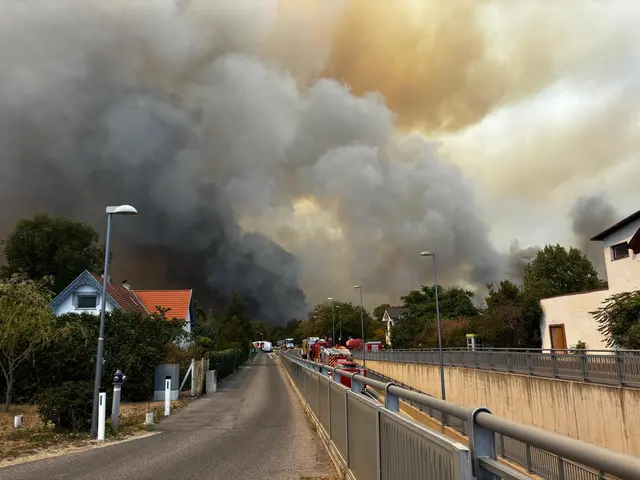Schon wieder Flammen im Föhrenwald: Eine riesige Rauchsäule zieht über die Region rund um St. Egyden und Weikersdorf. | Foto: privat