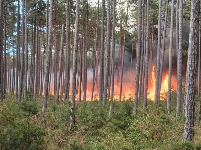 Foto: einsatzdoku.at
