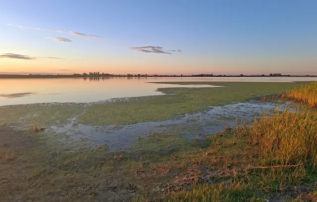 Im Juni war noch ausreichend Wasser im Darscho. Heute sinkt der Wasserstand um bis zu einen Zentimeter pro Tag. | Foto: renatahfotografie
