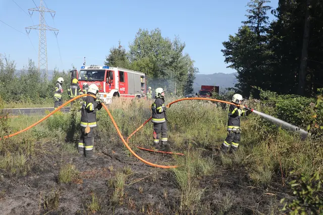 Eine Fläche von 300 Quadratmetern stand in Flammen.