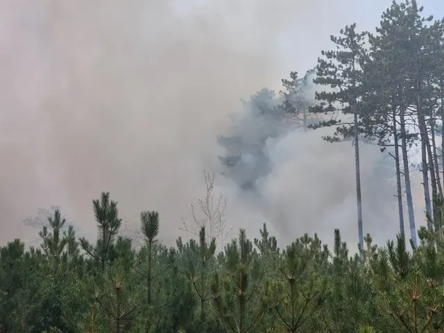Foto: einsatzdoku.at