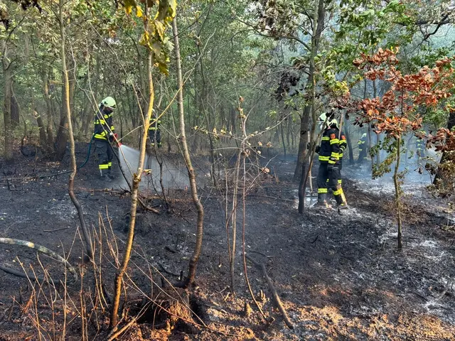 Foto: Feuerwehr St. Margarethen