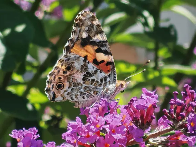 Sie sind bei intakter Natur im Garten zu finden, freut sich Ingrid Sartory. | Foto: Ingrid Sartory