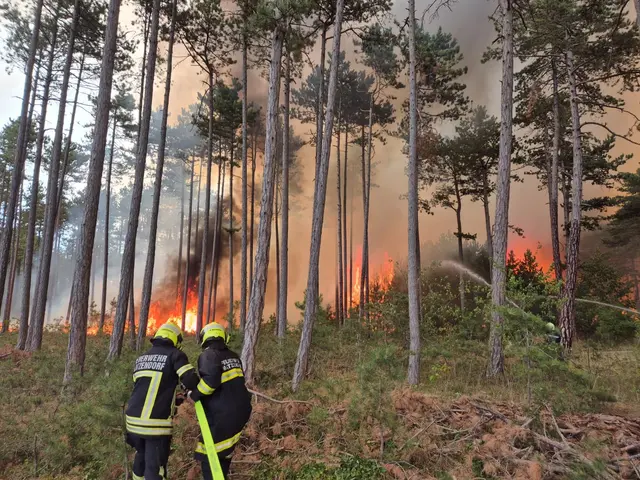 Die höchste Alarmstufe B4 wurde ausgelöst und sieben Hubschrauber unterstützen die Löscharbeiten aus der Luft. | Foto: einsatzdoku.at