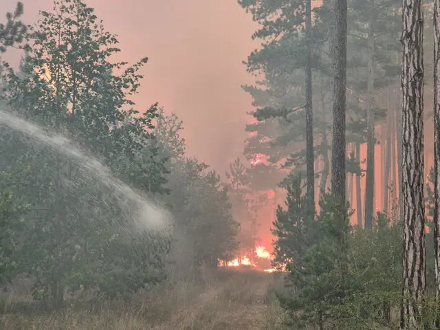 Foto: einsatzdoku.at