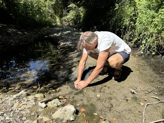 Wir graben eine Verbindung zwischen einem seichten und einem tieferen Becken – damit der gefangene Fischschwarm vielleicht überlebt. | Foto: Lauren Fahrenberger / MeinBezirk