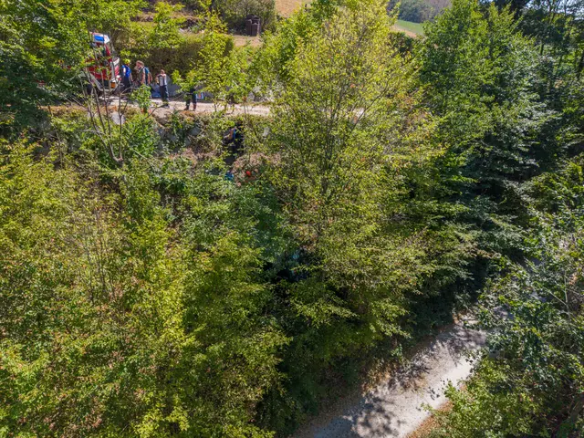 Foto: Fotokerschi/Martin Scharinger