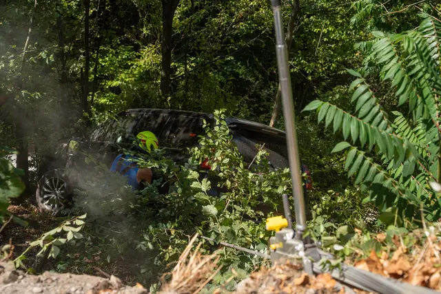 Foto: Fotokerschi/Martin Scharinger