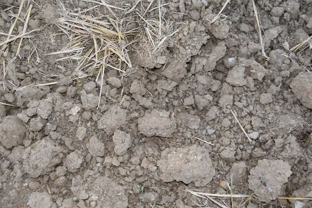 Die langanhaltende Trockenheit sorgte für massive Ernteeinbußen in der Landwirtschaft | Foto: MeinBezirk/Michael Strini