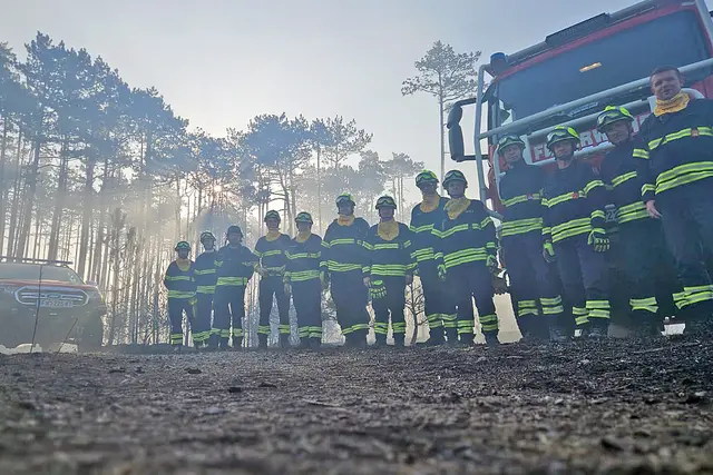 Einsatzkräfte aus Waidhofen an der Thaya unterstützen die Feuerwehrleute beim Waldbrand in St. Egyden.  | Foto: FF Dietmanns