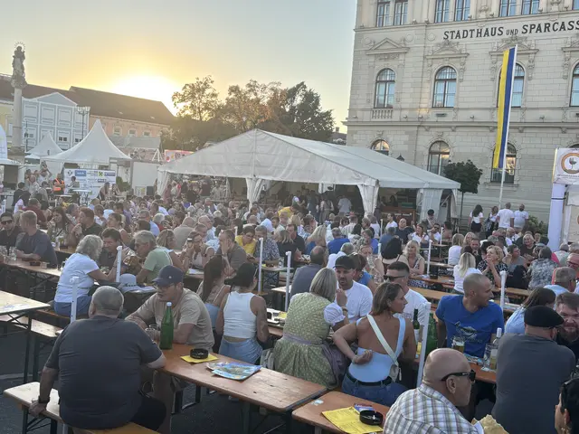 Foto: Stadtgemeinde Laa/MeinBezirk