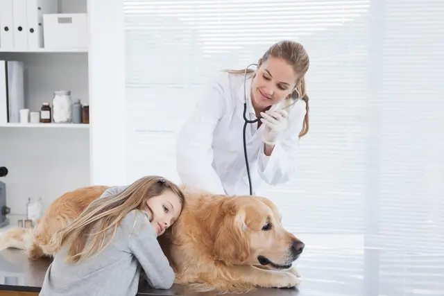 MeinBezirk Servicebeitrag: Was Sie über den tierärztlichen Notdienst wissen müssen. | Foto: panthermedia (Symbolbild)