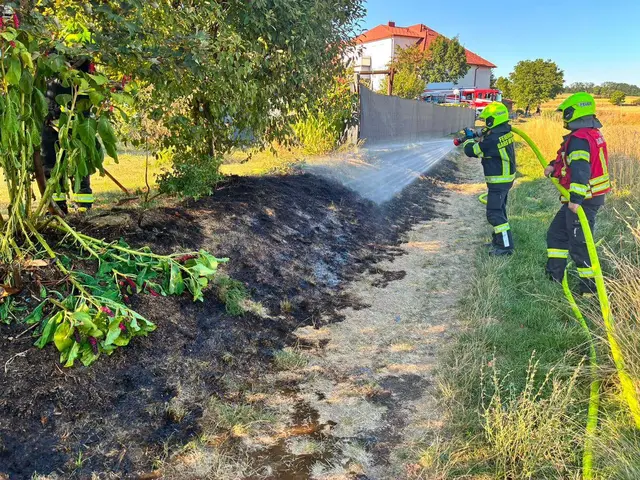 Die betroffene Fläche umfasste rund 50 Quadratmeter. | Foto: Feuerwehr Gars/Kamp