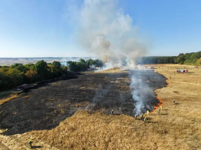 Die Flammen breiteten sich rasch aus, weshalb die Alarmstufe von B2 auf B3 erhöht wurde. | Foto: Freiwillige Feuerwehr Kleinrötz