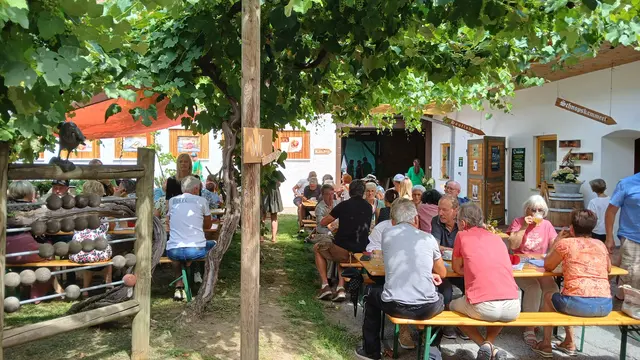 Die Bäume im Innenhof am Biohof Schloffer sorgten für ein angenehmes Klima an diesem warmen Sommertag. | Foto: Josef Hofmüller