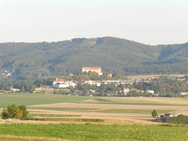 Tolle Aussicht auf das Schloss Neulengbach. | Foto: Heribert Punz