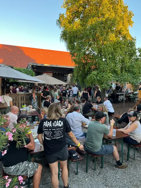 Viele Besucherinnen und Besucher strömten in den Innenhof des Heurigen. | Foto: Dani Raser