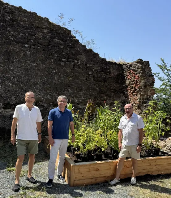 Foto: Burgstiftung