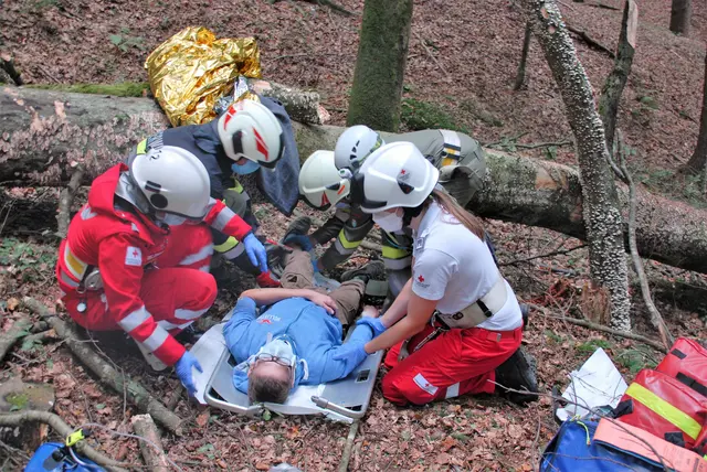 Der 39-Jährige wurde vom Hauptstamm des fallenden Baumes im Bereich des Kopfes und des Oberkörpers getroffen und zu Boden geschleudert.