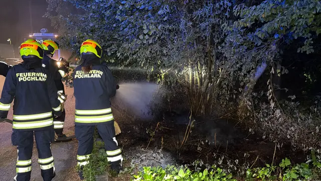 Die Flammen wurden unter Kontrolle gebracht und der Brand schließlich vollständig gelöscht. | Foto: DOKU NÖ