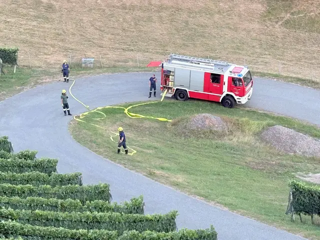 Wenn eine Wiesenbrand entfacht, ist rasches Handeln der Feuerwehr unumgänglich. | Foto: Feuerwehr/Waltl