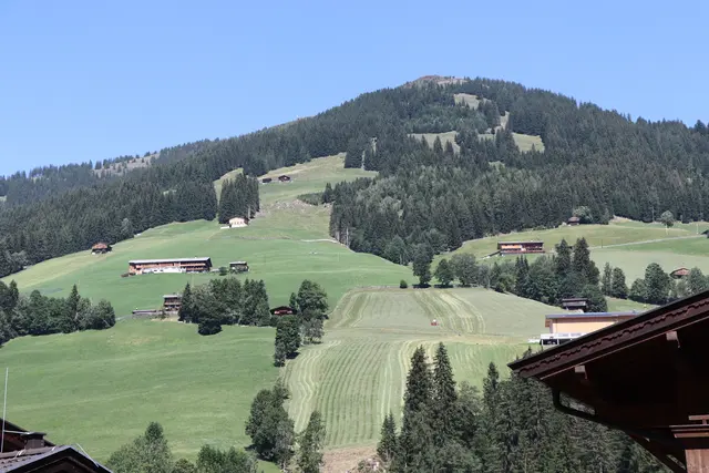 In Alpbach gibt es heute noch gleich viele Bauernhöfe wie vor 100 Jahren.  | Foto: Martina Obertimpfler 