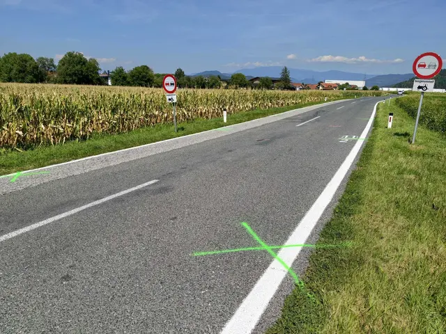 An dieser Stelle ist der 20-Jährige auf seinem Heimweg frontal von einem Auto erfasst und tödlich verletzt worden.  | Foto: Georg Bachhiesl