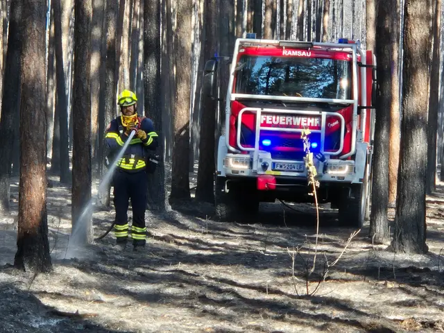 Löscharbeiten im Föhrenwald. | Foto: BFK Neunkirchen Lechner
