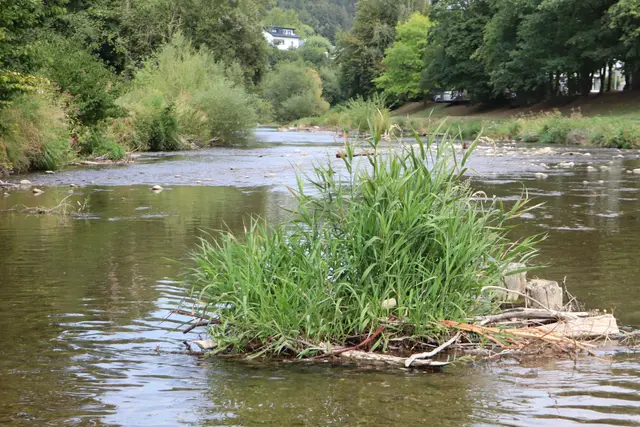 WENIG WASSER an der VÖCKLA