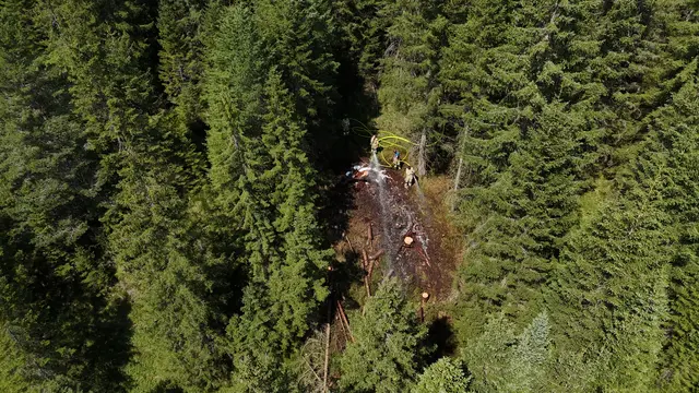 Im sogenannten Großhanserwald ist am Samstag ein etwa 10 x 10 Meter großes Waldstück in Brand geraten. | Foto: BFV-Reutte