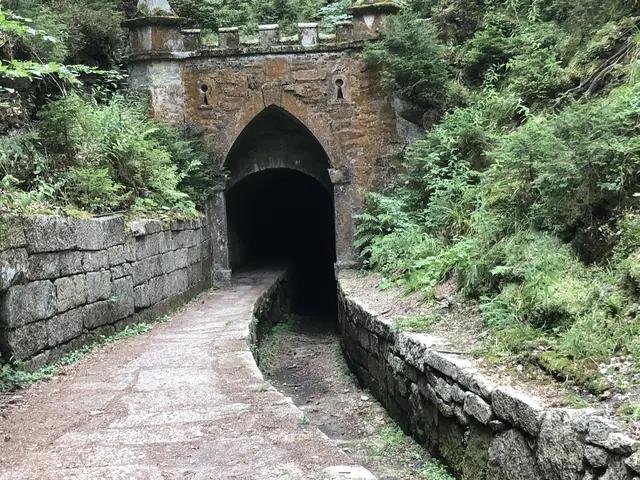 Nordportal des Hirschenberger Tunnels. | Foto: Herbert Schöttl