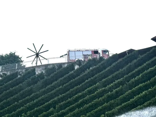 Foto: Feuerwehr/Waltl