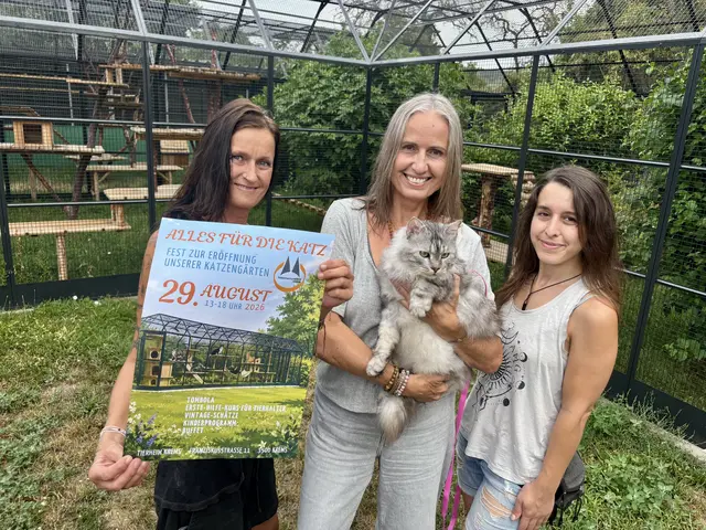 Tierheimleiterin Brigitte Kainz, Obfrau Andrea Specht samt Kater Aristo und Pflegeleiterin Aniko Peter vor einem der neuen Katzengärten. | Foto: Tierheim Krems