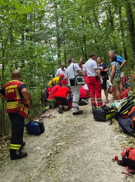 Einsatz auf dem Wanderweg beim Siriuskogl in Bad Ischl. | Foto: Feuerwache Reiterndorf