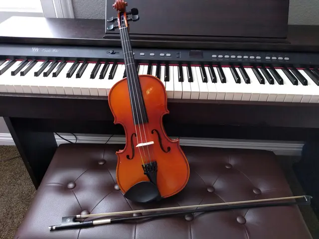 Musikinstrumente. (Symbolbild) | Foto: unsplash / David Lusvardi