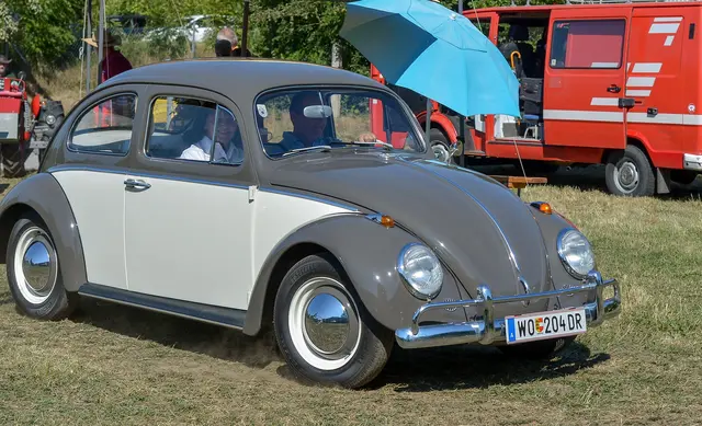 Foto: Gerhard Pulsinger