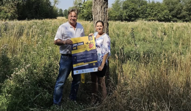 Zu finden sind die gekennzeichneten Obstbäume in der "Zwettler Straße", in der "Ing. Theissl Allee" und in der "Prof. Karl Scholz Straße". | Foto: FPÖ Horn