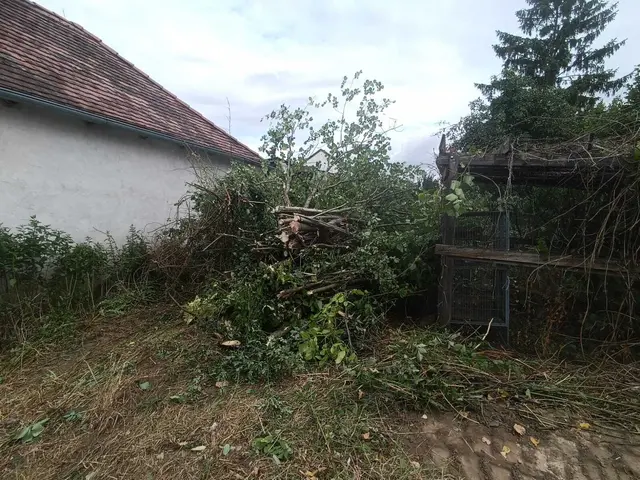 Bereit für den Winter: Schneeräumung und Streudienst sorgen auch in der kalten Jahreszeit für sichere und gut befahrbare Flächen. | Foto: LAG Lackner