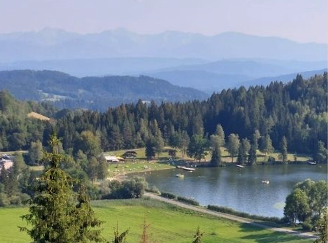 Der Weinwandertag findet am Sonntag, dem 30. August statt. | Foto: Privat