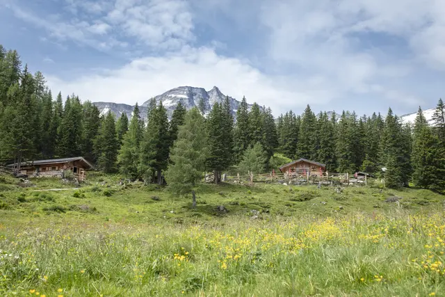 Das Raurisertal setzt weiterhin auf Natur, Regionalität und qualitatives Wachstum. Im Bild: Gainschniggalm | Foto: TVB Rauris/Florian Bachmeier