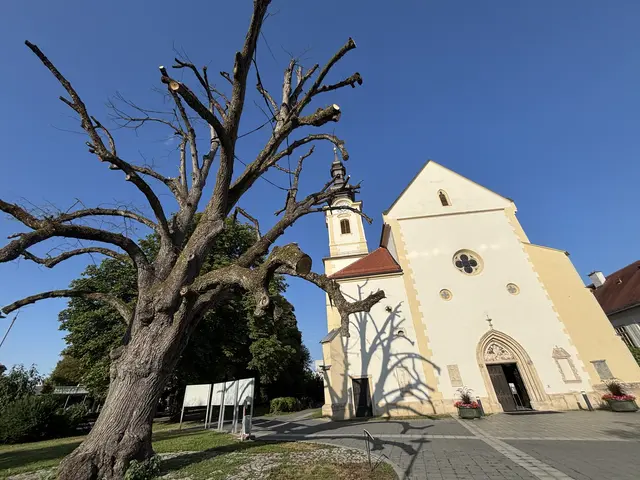 Foto: MeinBezirk/W. Fischer
